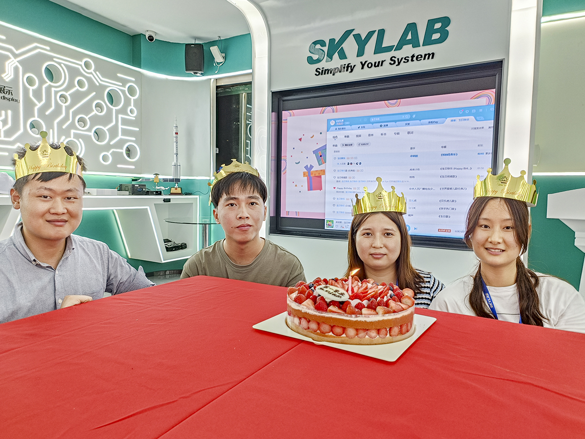 赴一场春日之约|SKYLAB 2023年第一季度生日会、迎新会